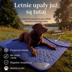 Chłodząca mata dla psa