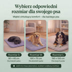 Chłodząca mata dla psa